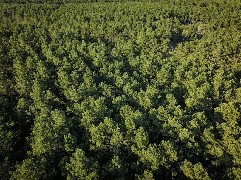 Copy of DJI_20240704185928_0010_D