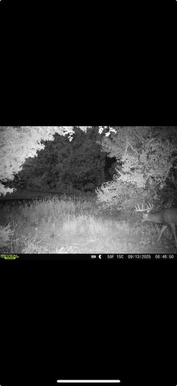 Screenshot 2026-01-09 at 12.49.18 PM