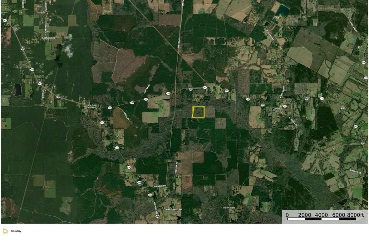 Rapides_40_Lotcation copy