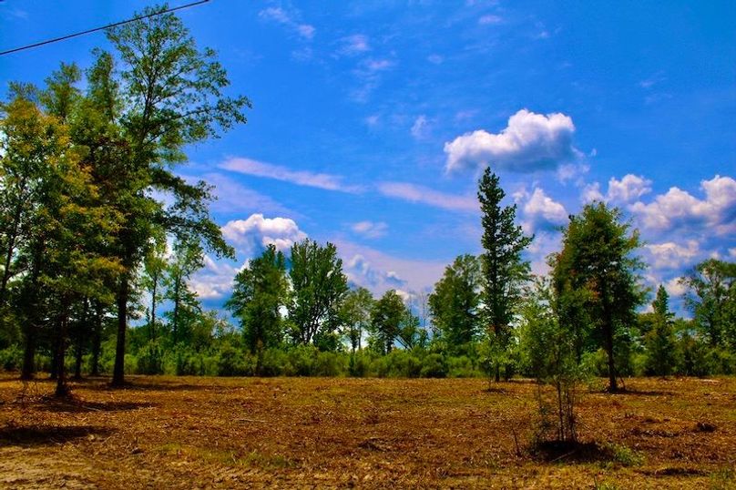 7D300C73-919B-401F-81E9-0D9775A412A7_1_105_c