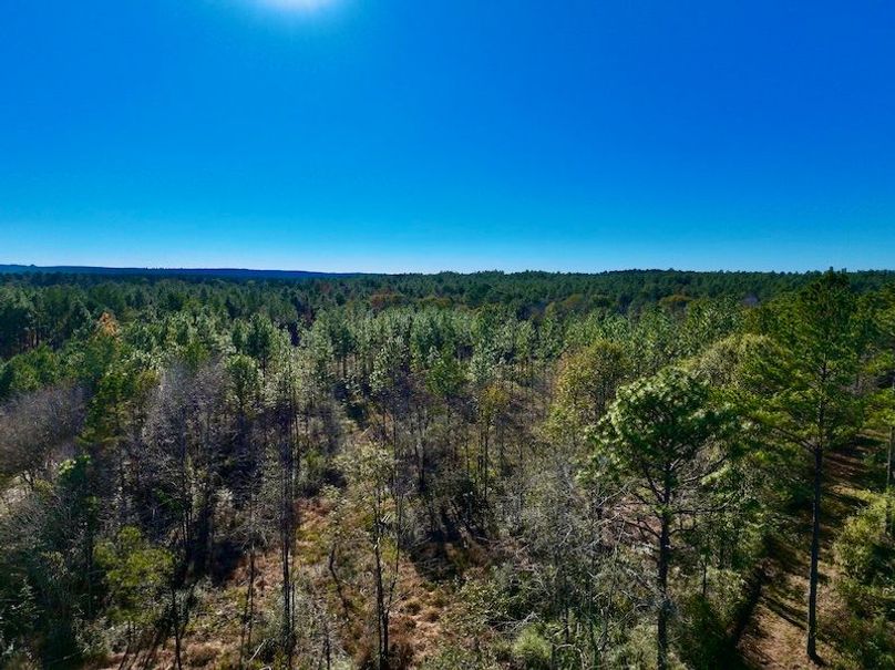 C3EE968D-8E5B-4E08-B349-69747F57A6DD_1_201_a