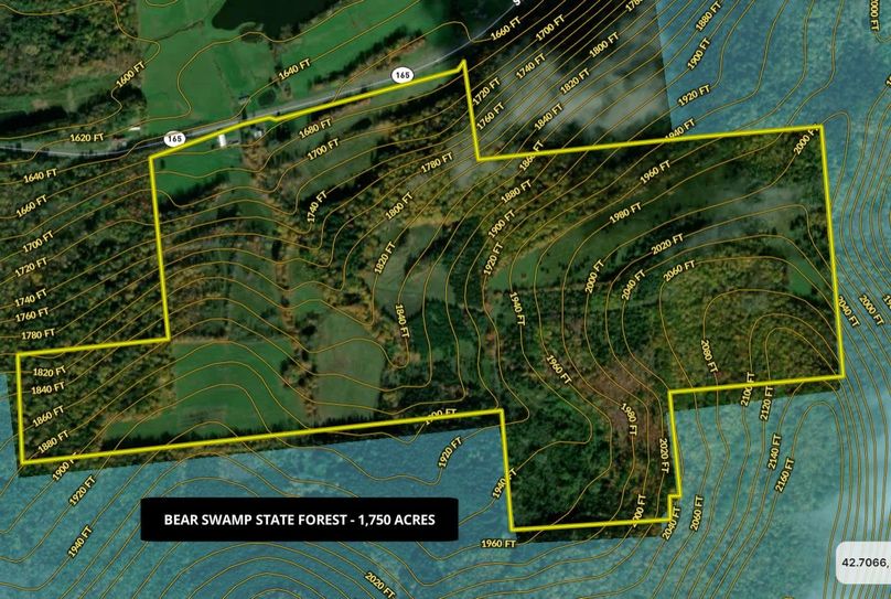 Otsego 156 Brazie Topo