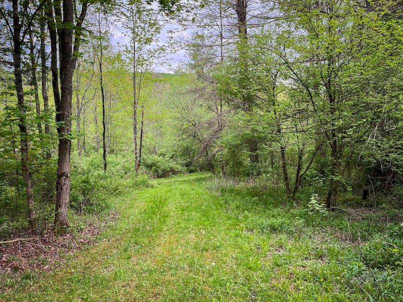 Tioga_78_Biada_Photos_90