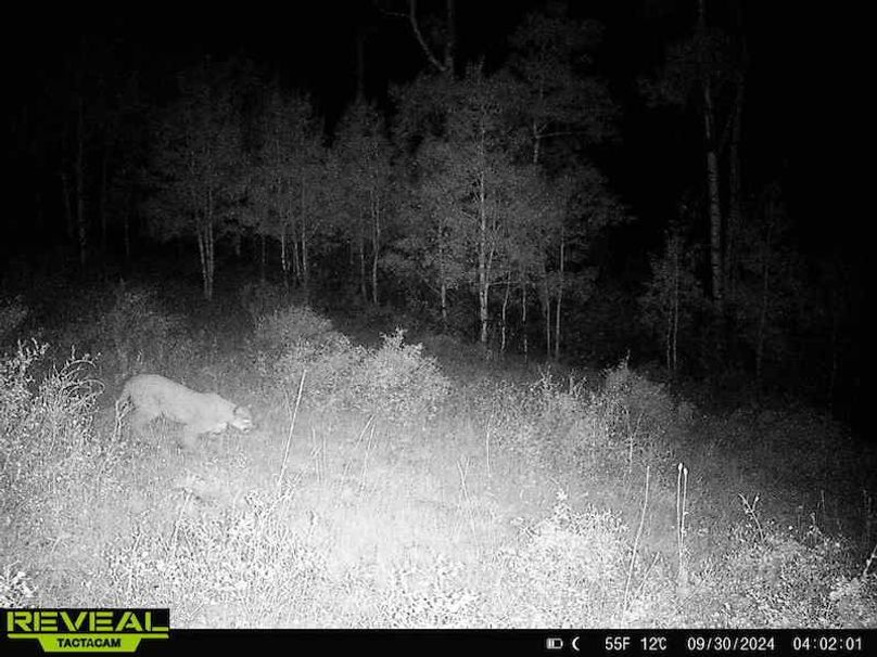 Copy of 864049052055672-30-4-09302024040200-HD-W1001291 (1)