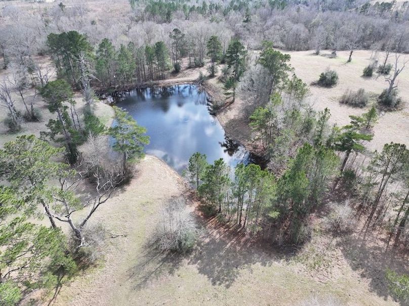 dji_fly_20260220_122622_0182_1771858411001_photo