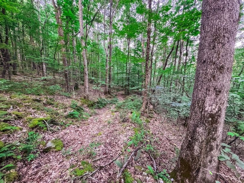 Webster, WV 42 AC Barger-25