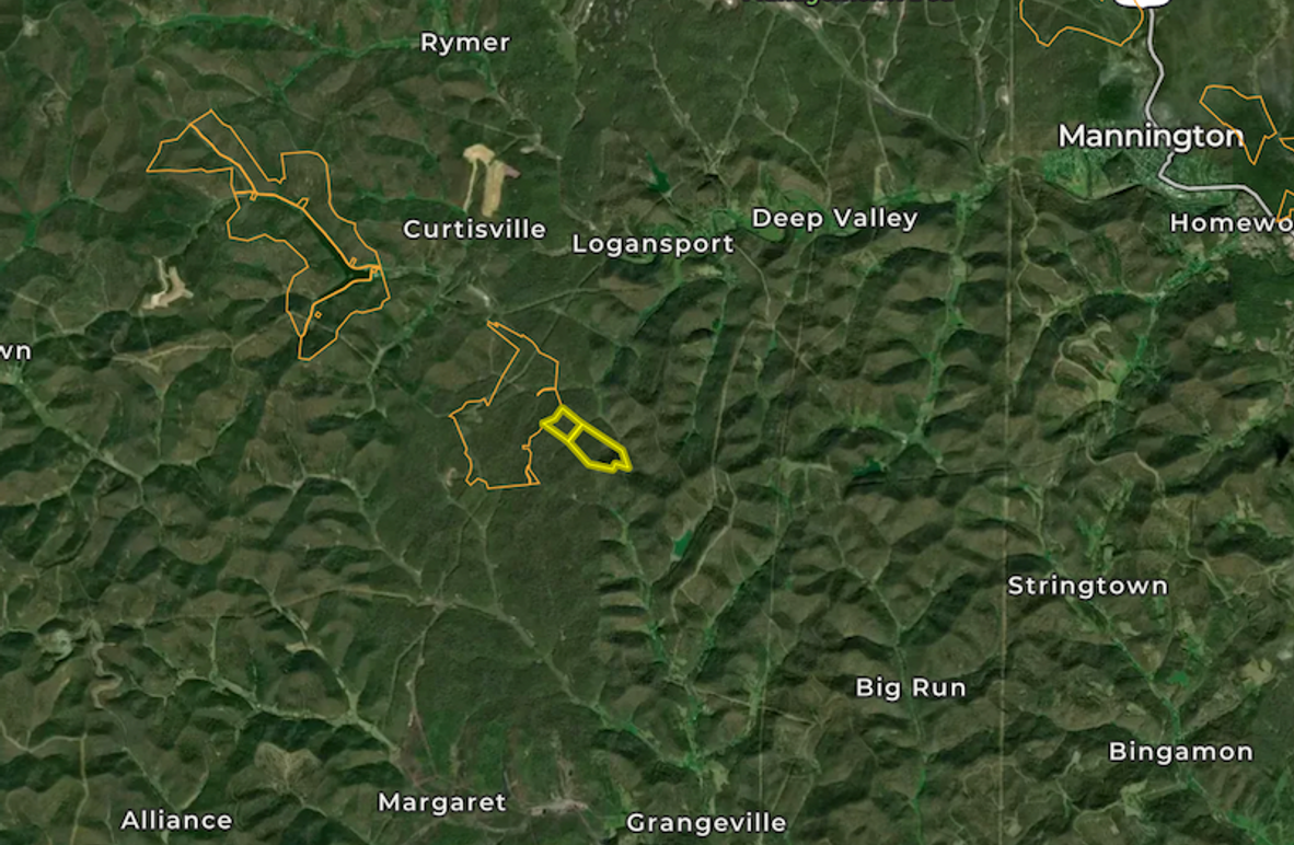 Screen Shot 2026-02-14 at 11.22.25 AM