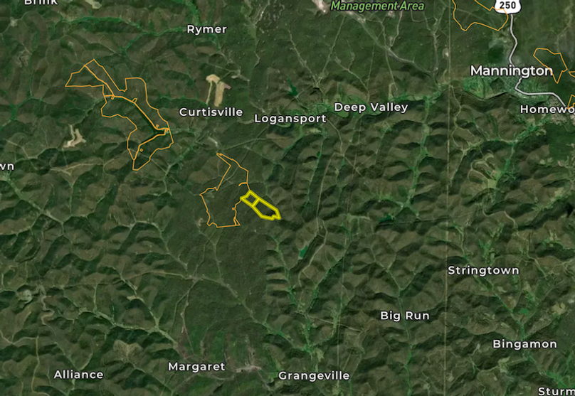 Screen Shot 2026-02-14 at 11.22.25 AM