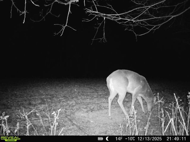 860516068095052-0-4-12132025214910-V-W1000293