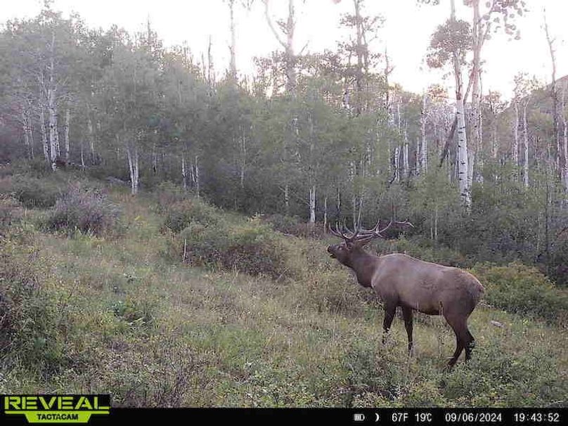 Copy of 864049052055672-60-4-09062024194352-HD-W1000474 (1)