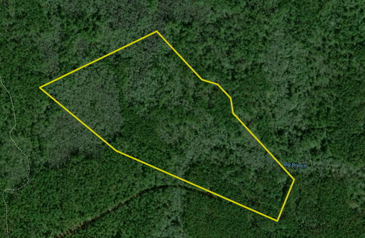 Screenshot 2026-03-30 095016