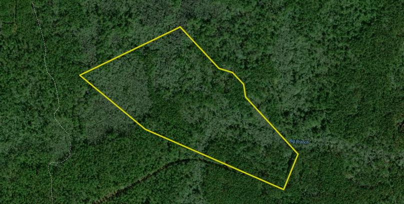 Screenshot 2026-03-30 095016