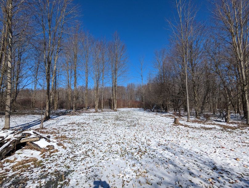 PXL_20230202_163343656