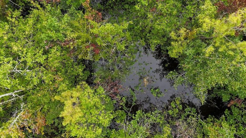 dji_fly_20250715_114842_0600_1752596194823_photo