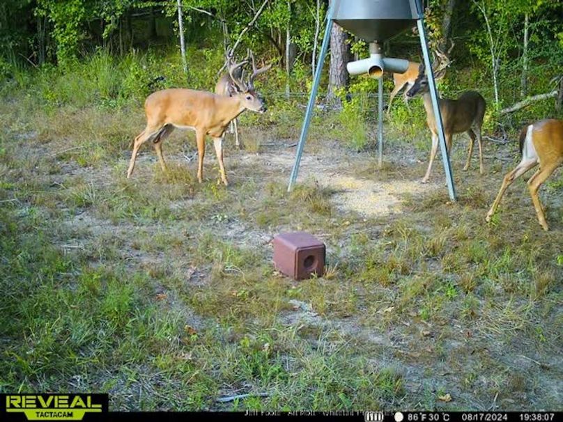 Holmes County - 108 - Rodriguez-69