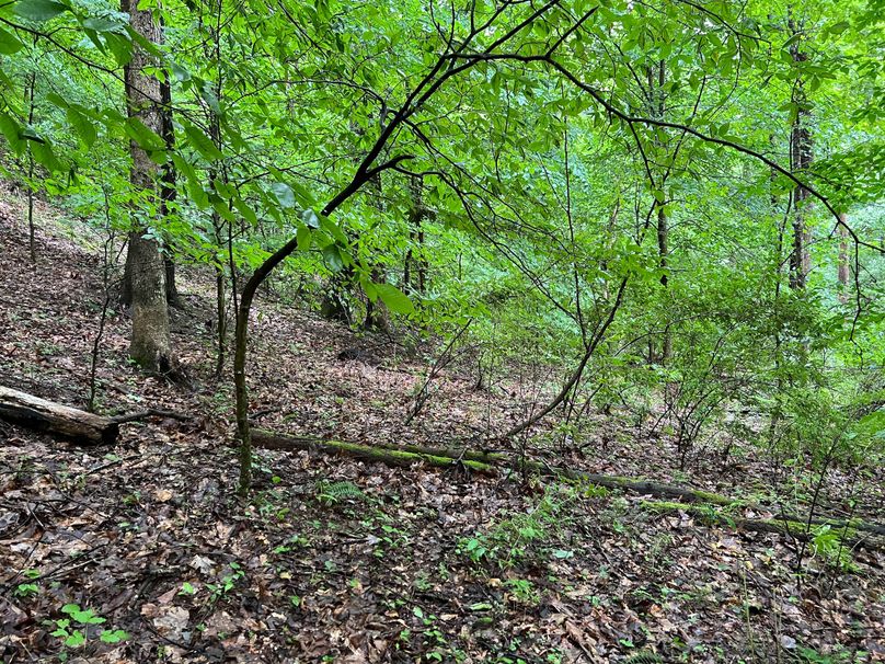 Wirt, WV 150.75 AC Tinnell-28