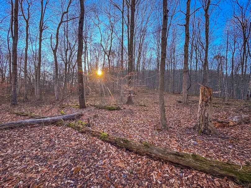 Pleasants_Wood 169.97 AC Cokeley-36