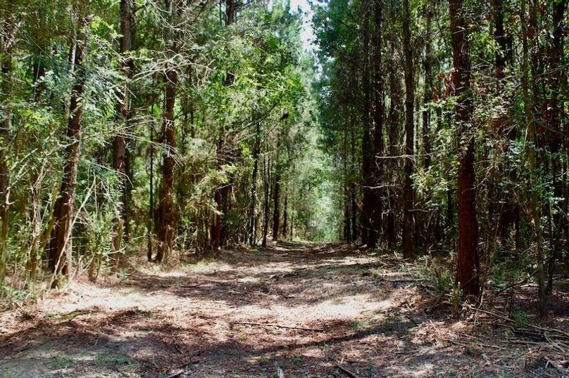 FD10412B-436F-4507-9815-2120053D11B8_1_105_c