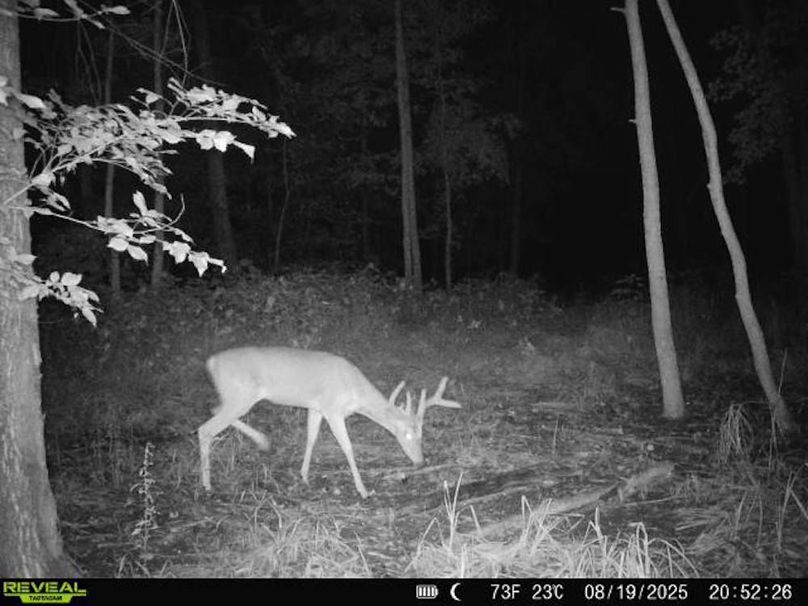 860516068101389-100-3-08192025205226-V-W1000921