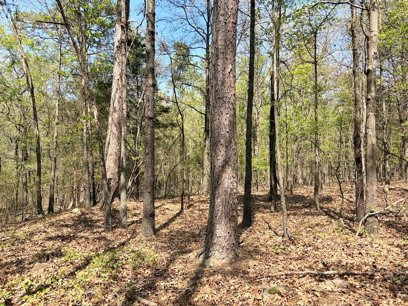 038D3BD4-CAD4-4107-B395-F1913DCBBAD6_1_201_a