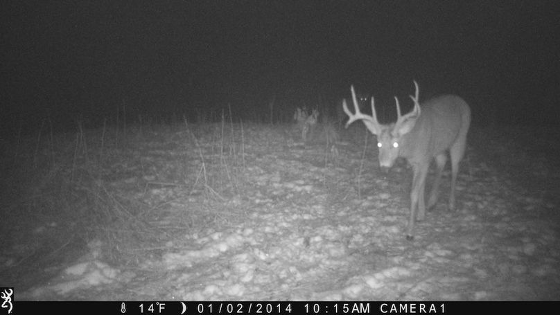 Sauk 174 Trailcam - 83