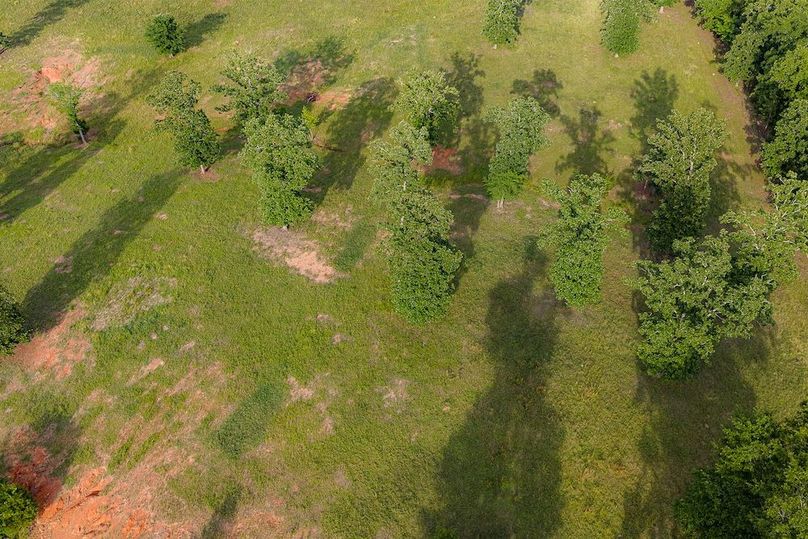Holman Ranch-64