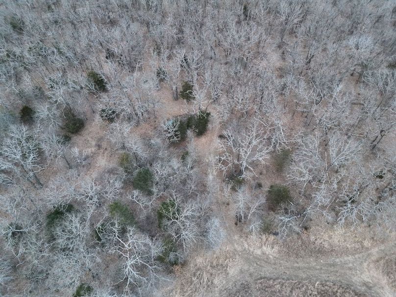 DJI_20260124001602_0019_V