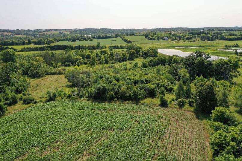 DJI_0712