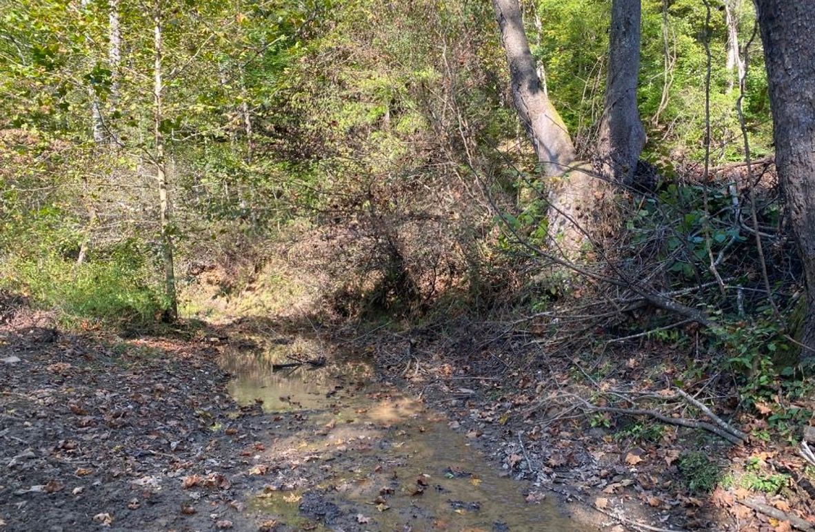 003 the creek crossing at the entrance of the property