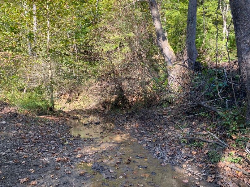 003 the creek crossing at the entrance of the property