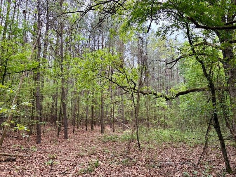 2D0520EA-6EC5-4F26-95F1-DE7A90A901DD_1_105_c