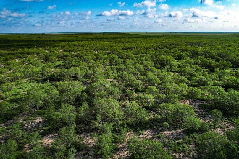DJI_0253