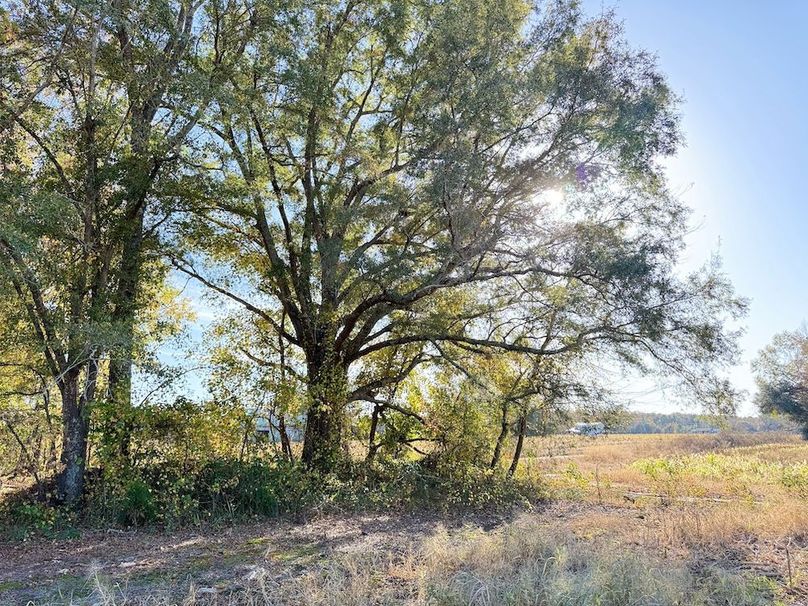 C3B254E3-AAF8-487D-B5DE-44B2BC9D4CBB