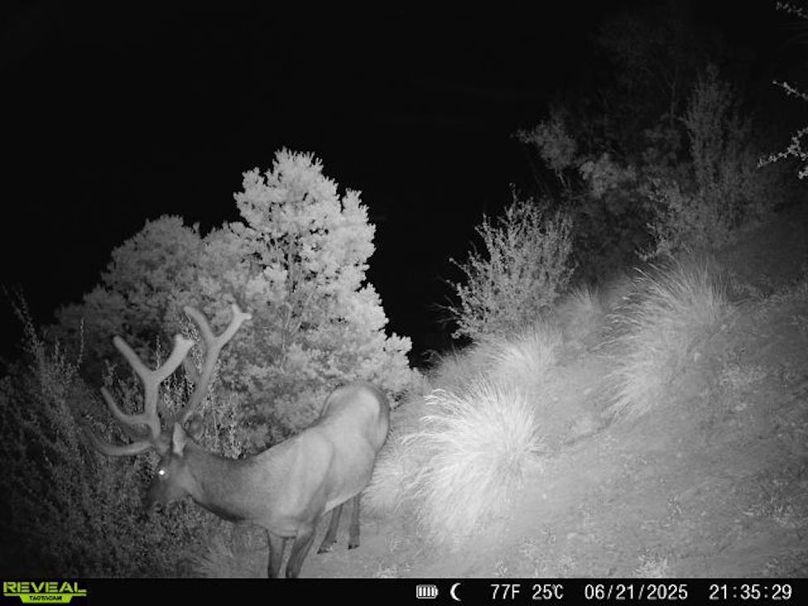 860516060007964-100-2-06212025213528-V-W1003773