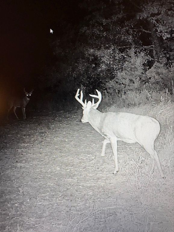 0B567E4C-DFB3-4270-A583-DA6B98E8B1E6