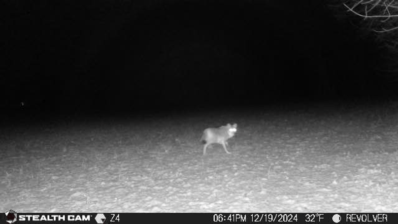 24121918410601001823