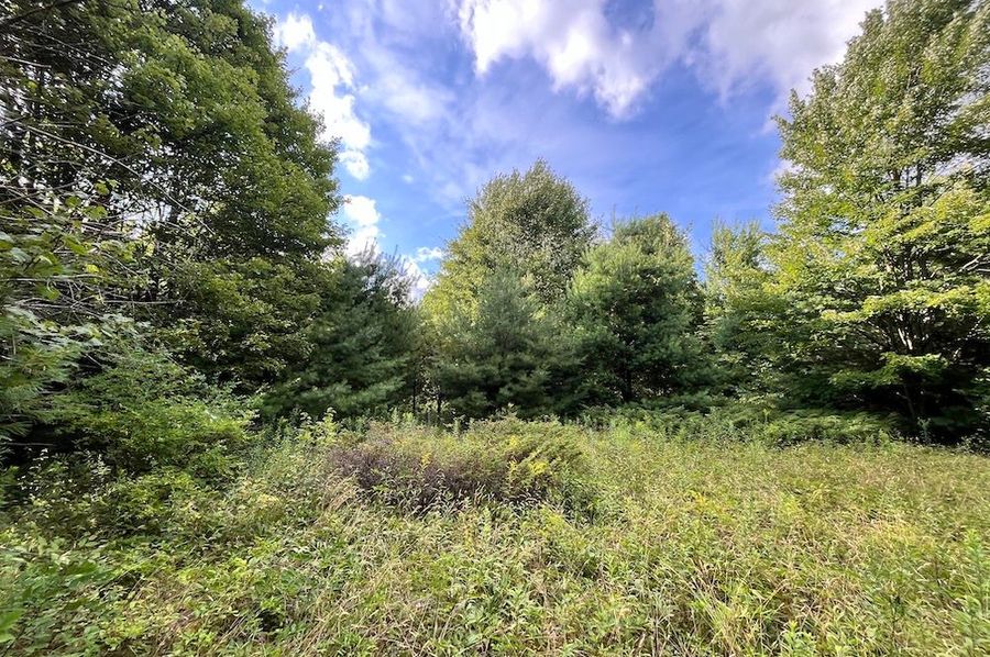 Chemung_15.583_Gutchess_lumber_Photos_18