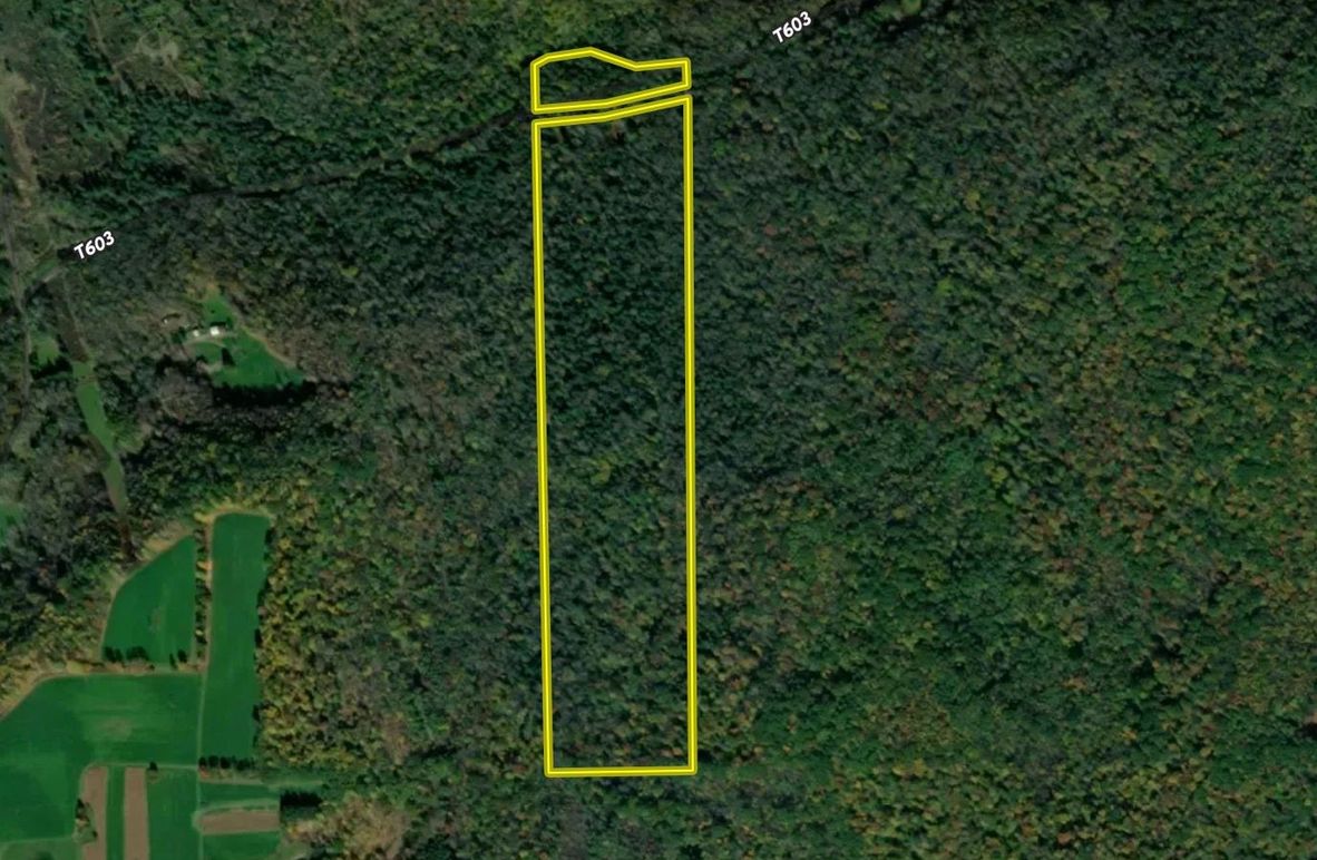 Screen Shot 2025-10-24 at 11.53.21 AM