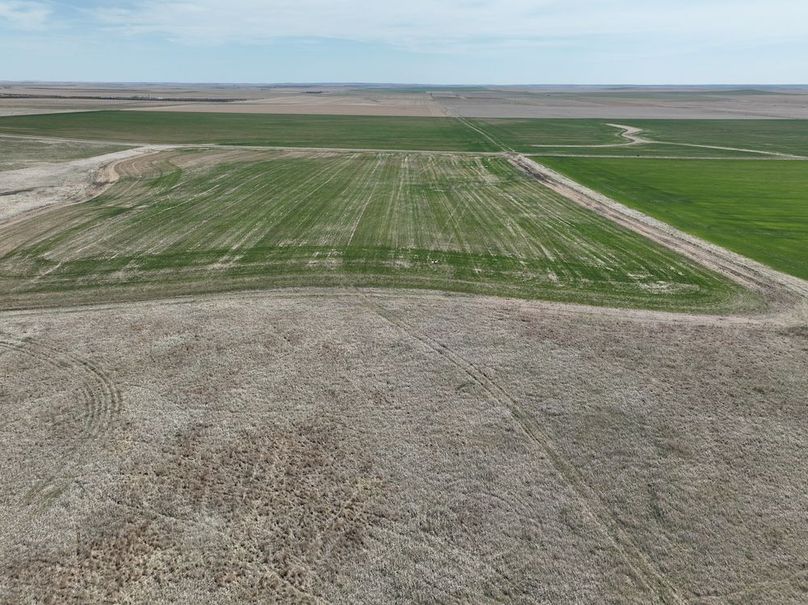 DJI_0359