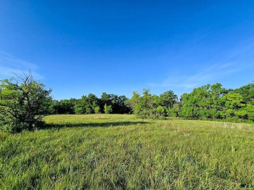 Copy of 20250729_075738