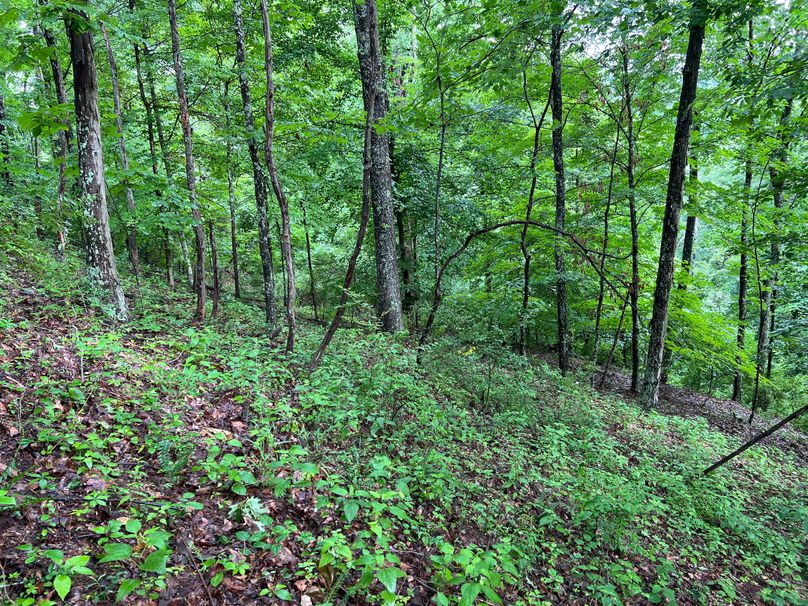 Wirt, WV 150.75 AC Tinnell-01