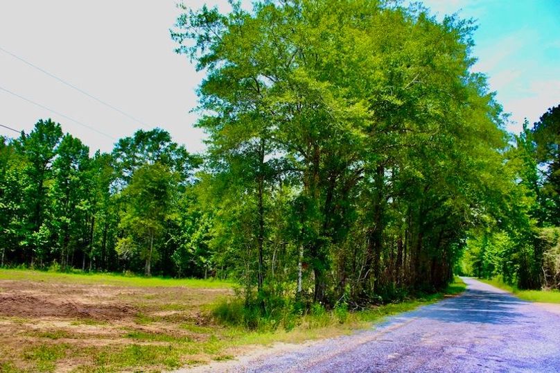 CFF81643-8D8A-4DFF-91F5-9D1E93E1A362_1_105_c