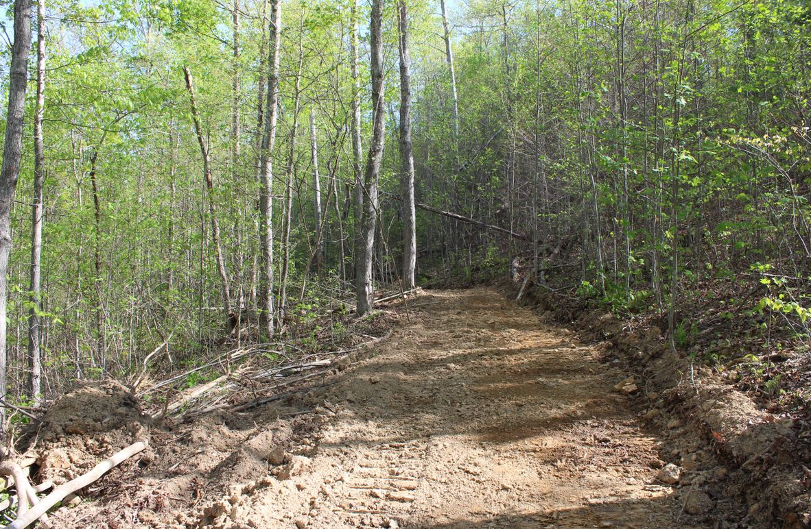 004 trail system leading around the east area of the property