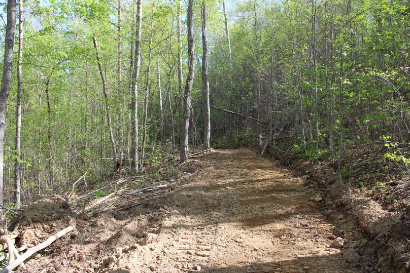 004 trail system leading around the east area of the property