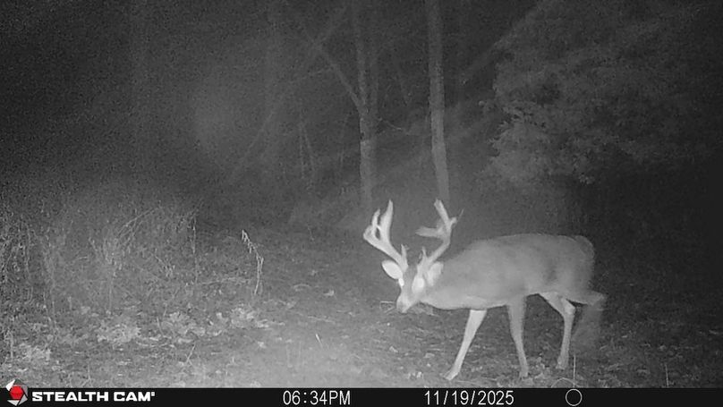 trailcam28