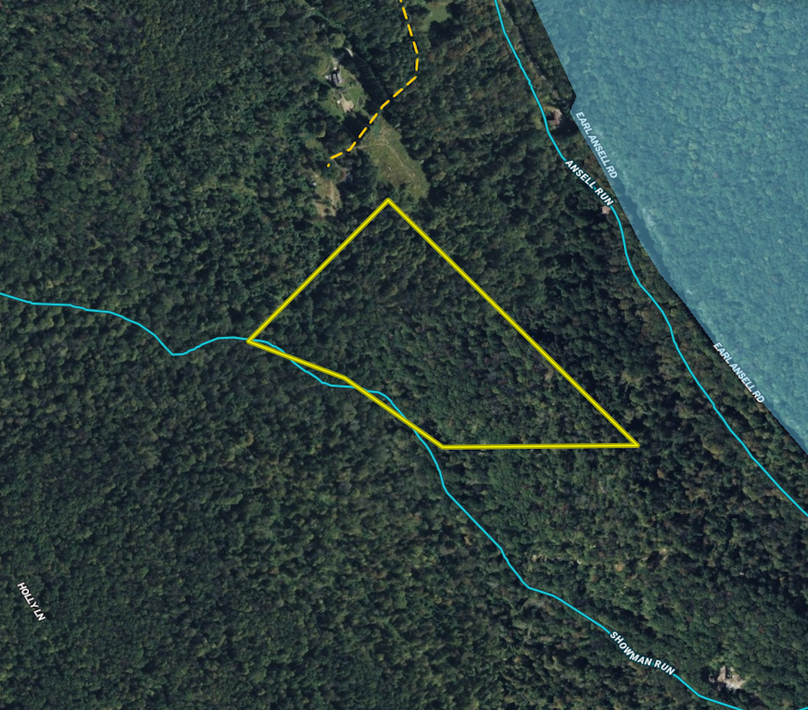 Screenshot 2026-03-04 at 9.50.22 AM