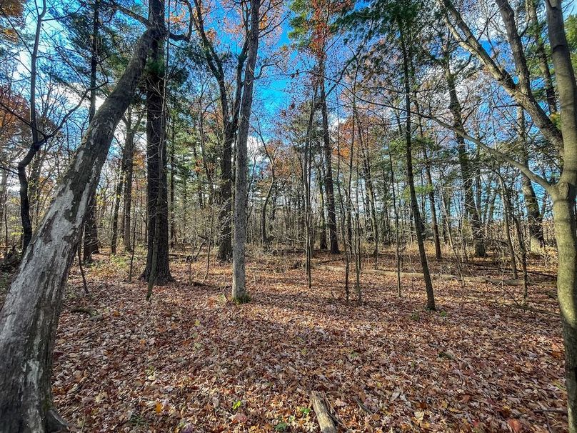 Portage 150.81 JMJK Prop-54