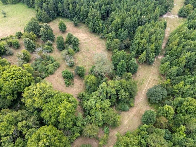 35 Jefferson 117ac - bethard-10