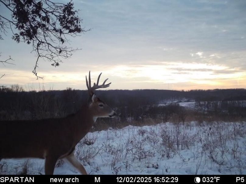 File Dec 02 2025, 8 21 24 PM