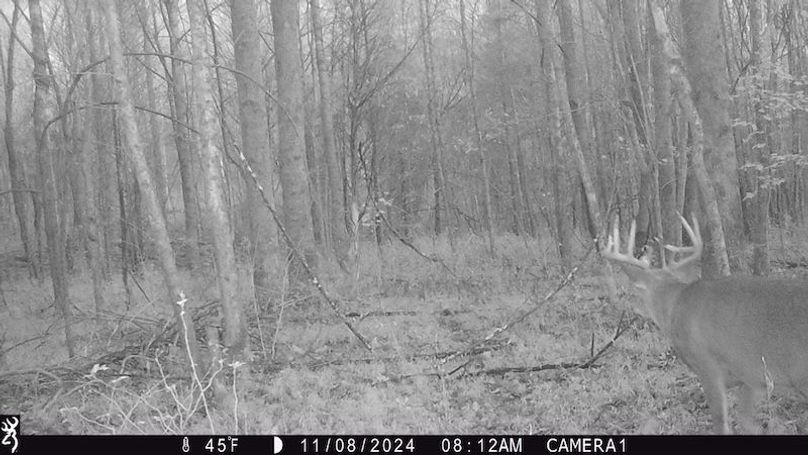 trail cam11